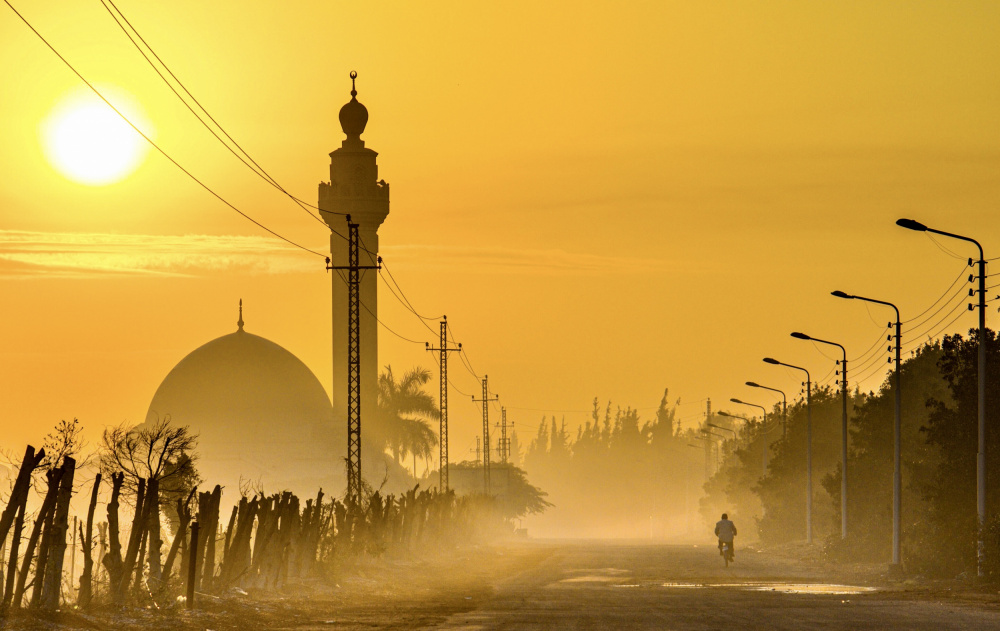 Foggy Morning von Mostafa Bahnasy
