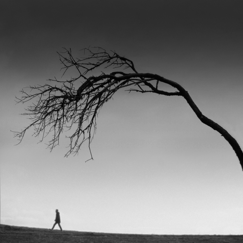 Onle von MOSTAFA NODEH