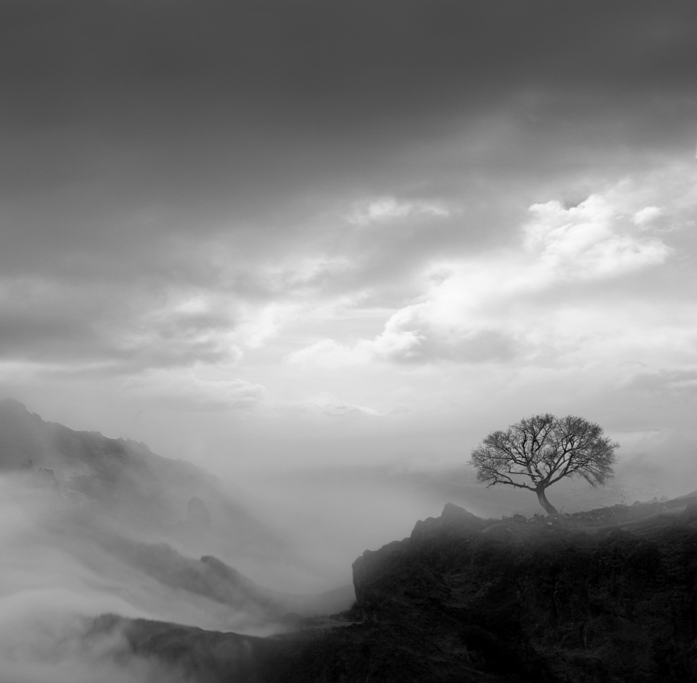 Dreams von MOSTAFA NODEH