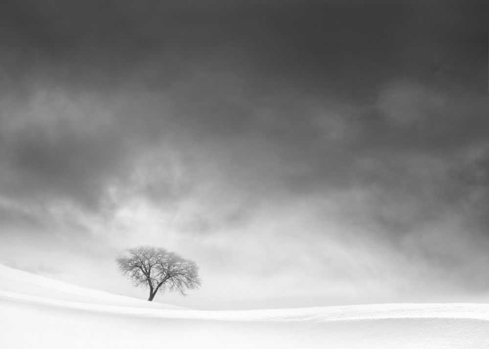 Dreams von MOSTAFA NODEH