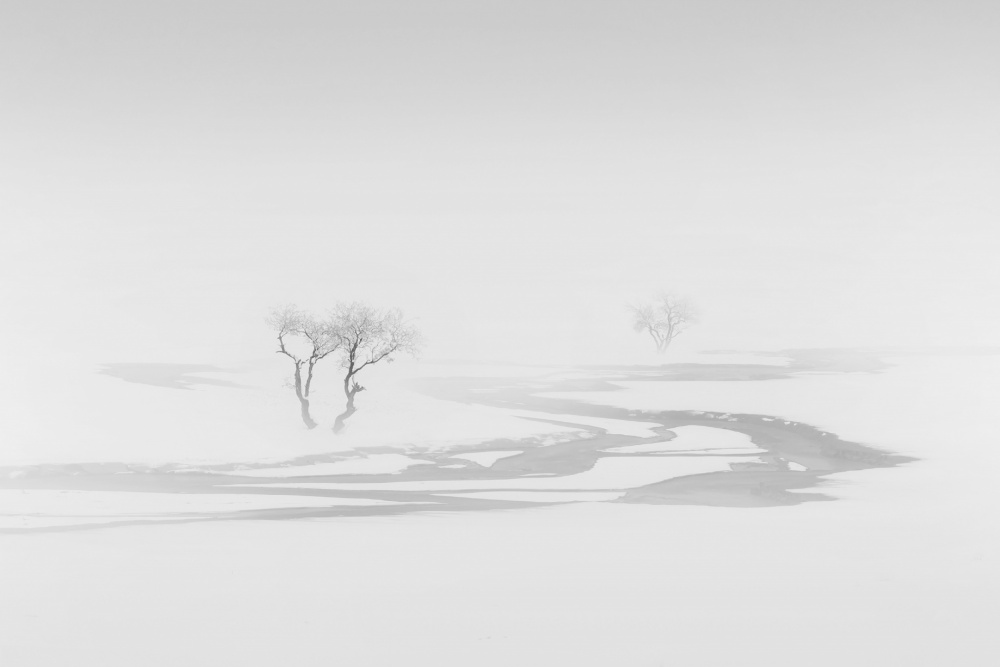 Dream von MOSTAFA NODEH