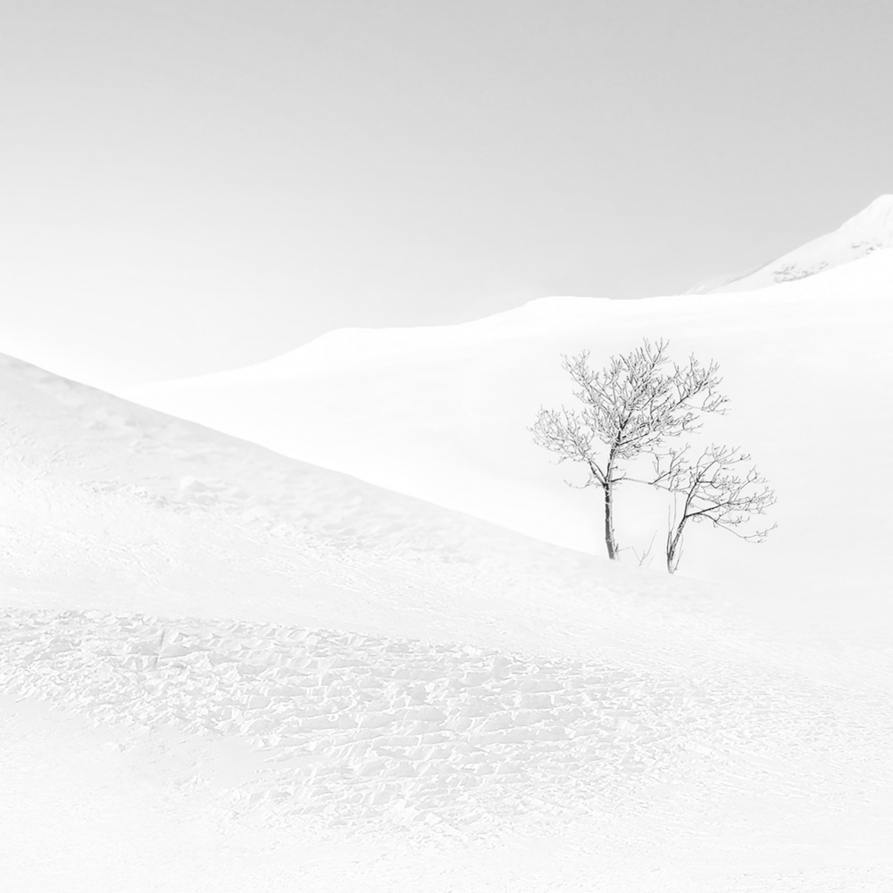 Dream von MOSTAFA NODEH