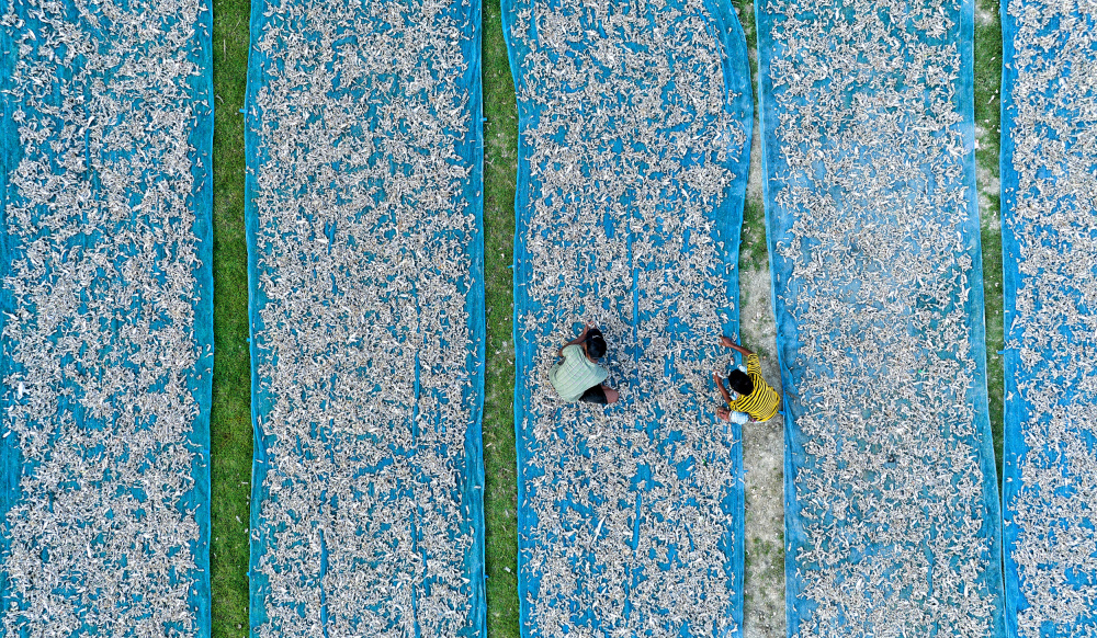 Sorting dried fishes von Mostafijur Rahman Nasim