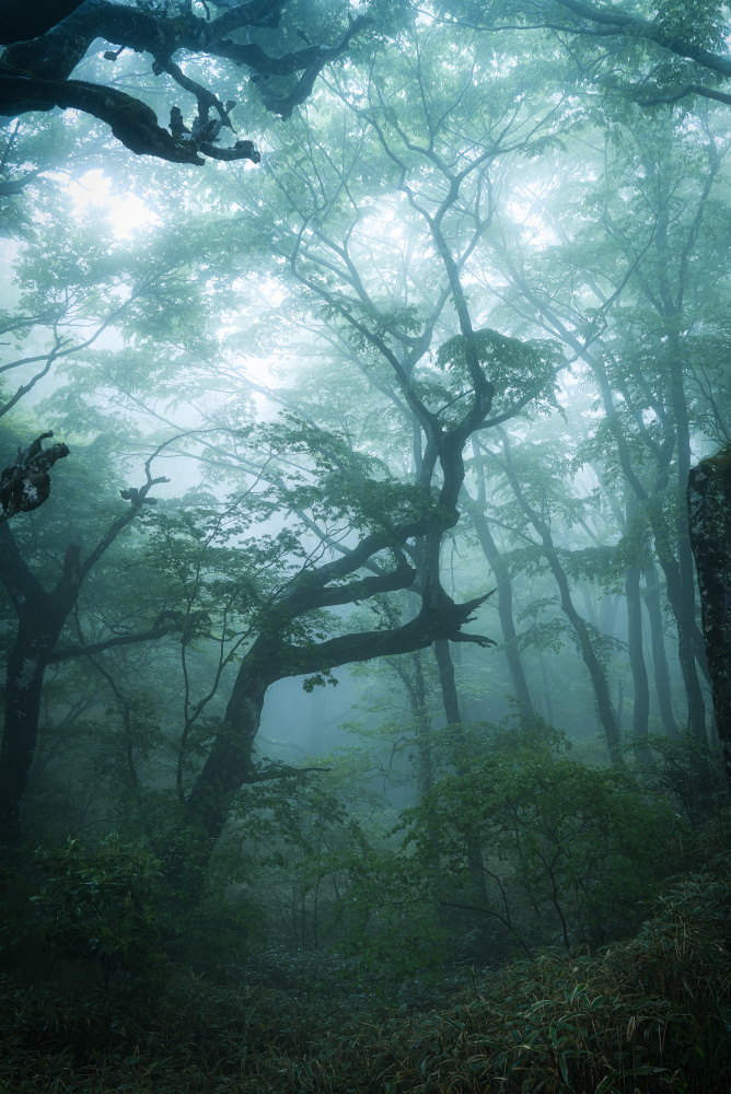 Under the sea von Motoki Sumita