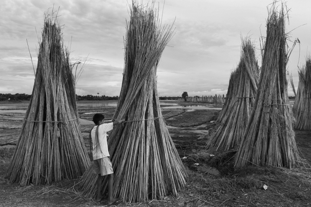 A little boy in the jute processing field von Moumita Mondal