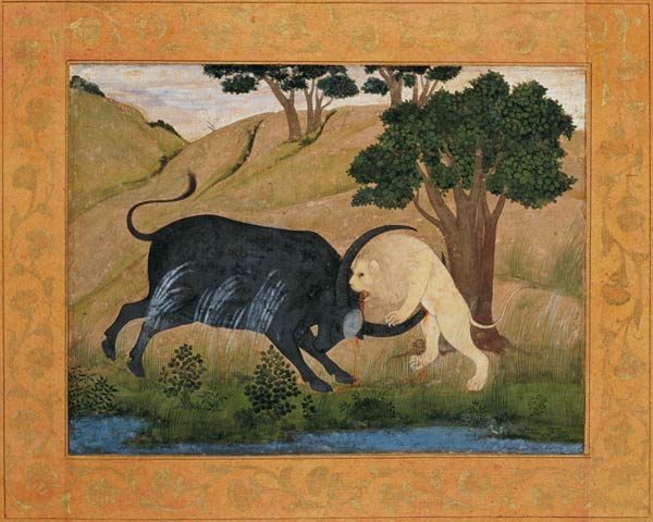 Lion in combat with a water buffalo, from the Large Clive Album von Mughal School