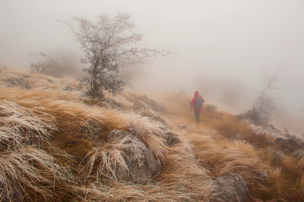 Fog von Mugurel Motea