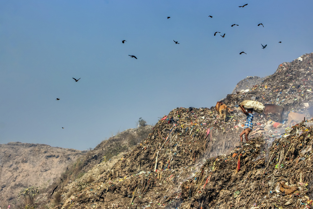 Child Hard Work von Muhammad Amdad Hossain