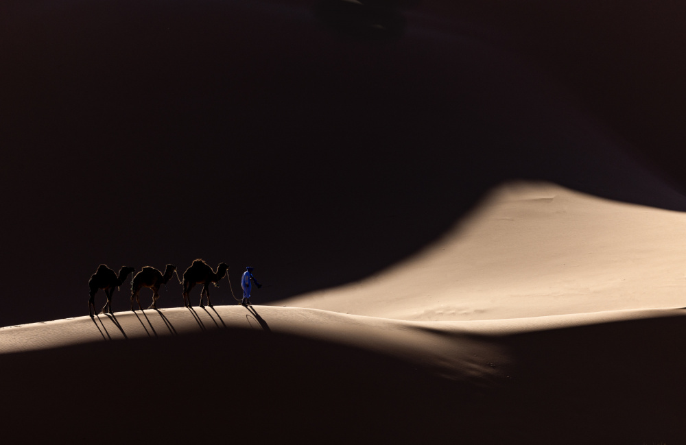 Desert von Muljati Hidajat