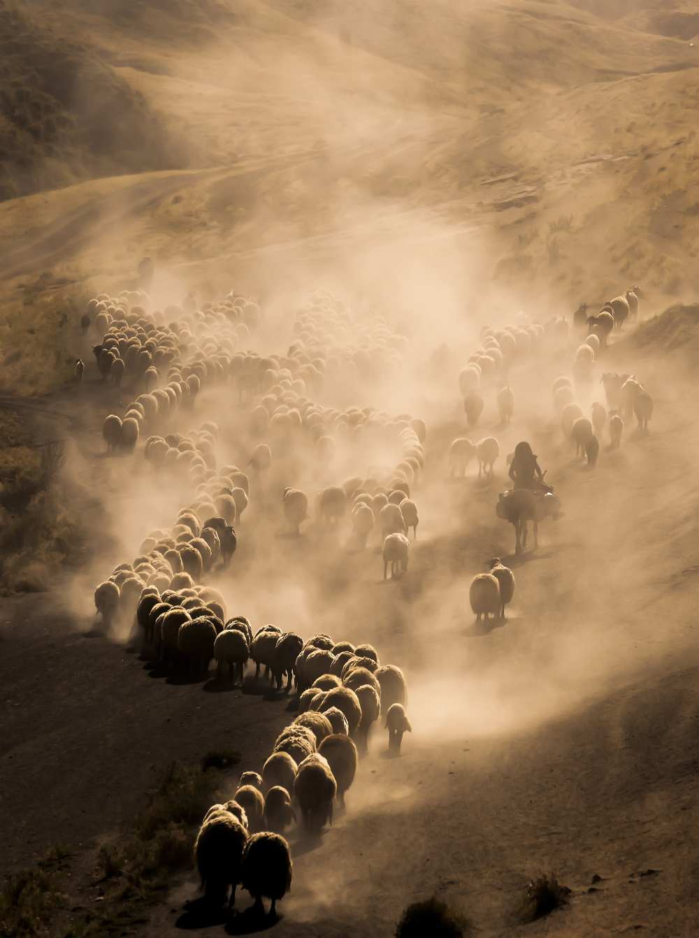 Tozlu Yolculuk von murat Cacim