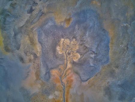 Yarışlı dring lake