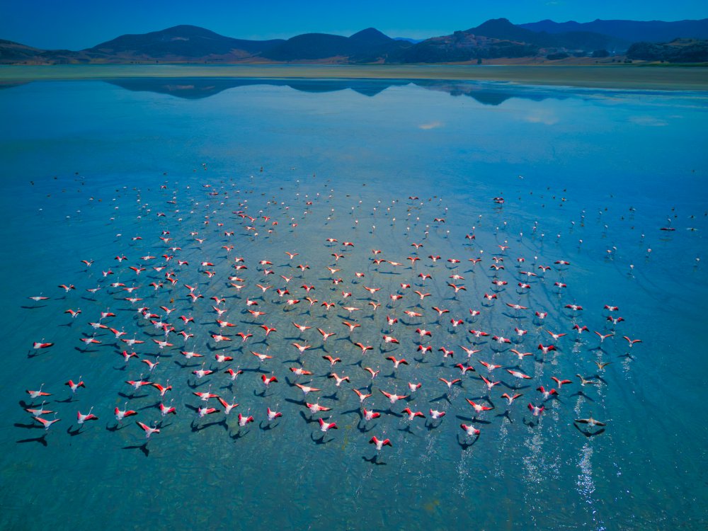 Yarışlı lake von musakeskin