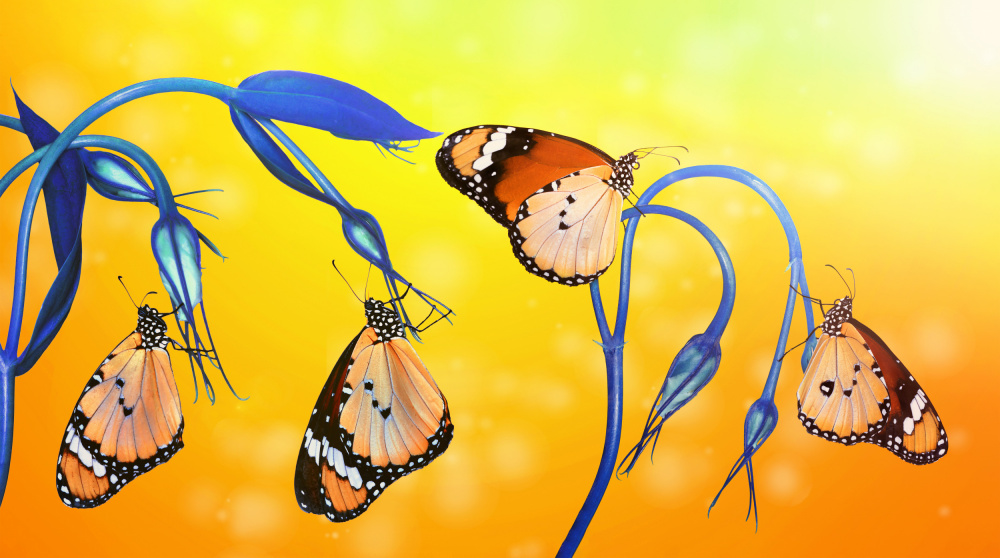 Family von mustafa öztürk