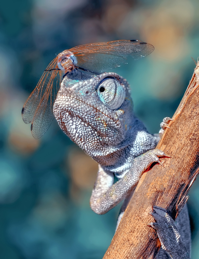 Emergency landing- von mustafa öztürk