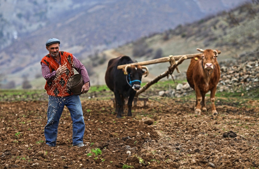 a life full of labor von Mustafa Zengin