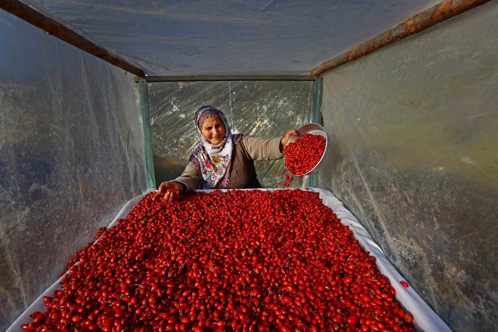 Untitled von Mustafa Zengin