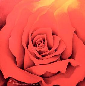 The Rose in the Festival of Light, 2000 (oil on canvas) 