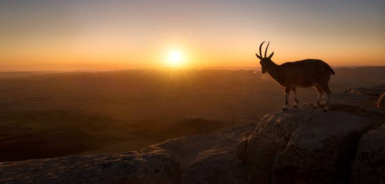 A New Day von Nadav Jonas