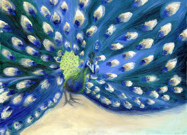 Peacock Eyes von Nancy Moniz Charalambous