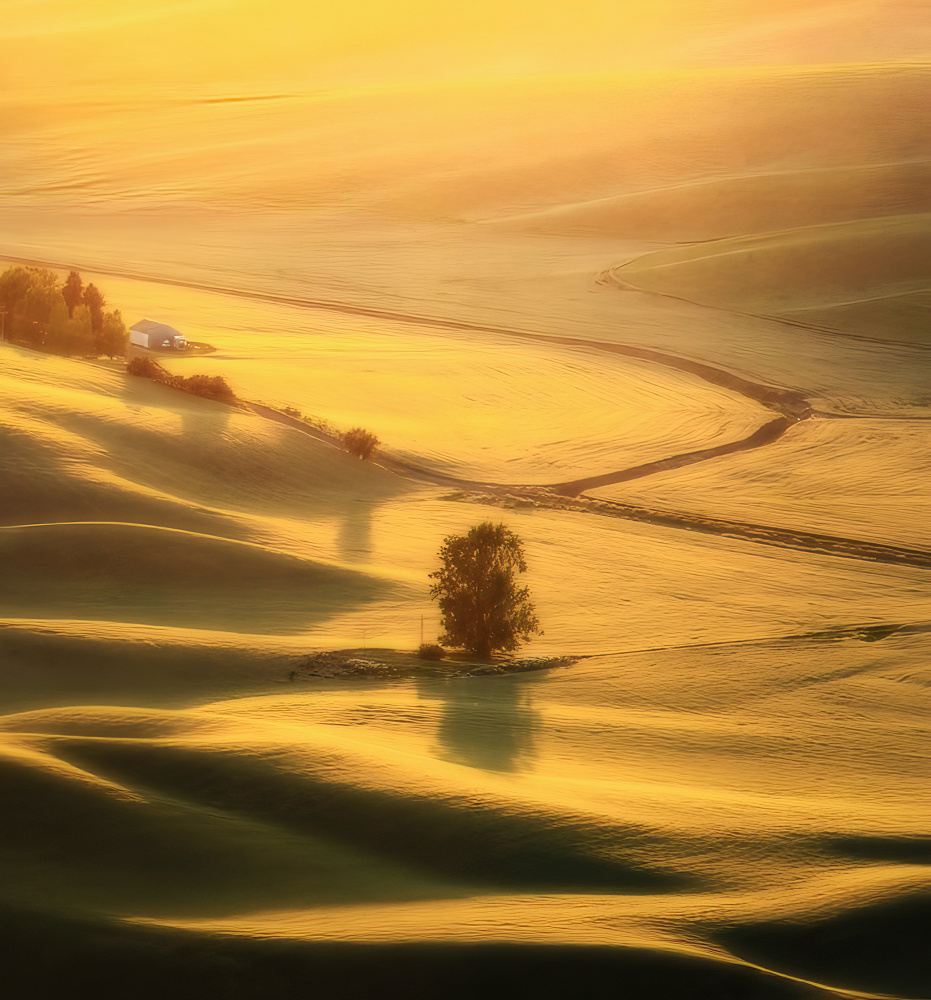 The View Of Palouse von NanZ