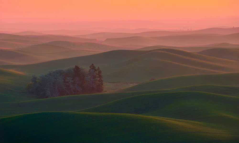 At Dawn von Naphat Chantaravisoot