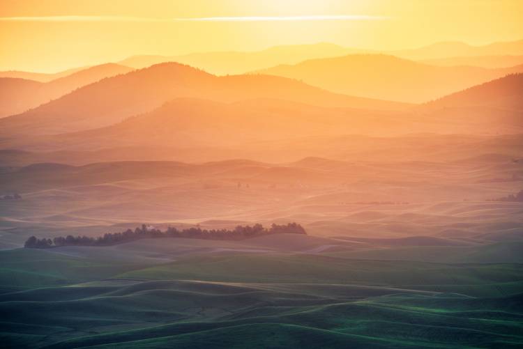 Dreamy Morning von Naphat Chantaravisoot