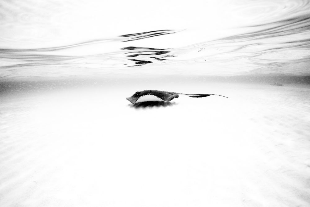 Sandbank Serie I von natalia martin de