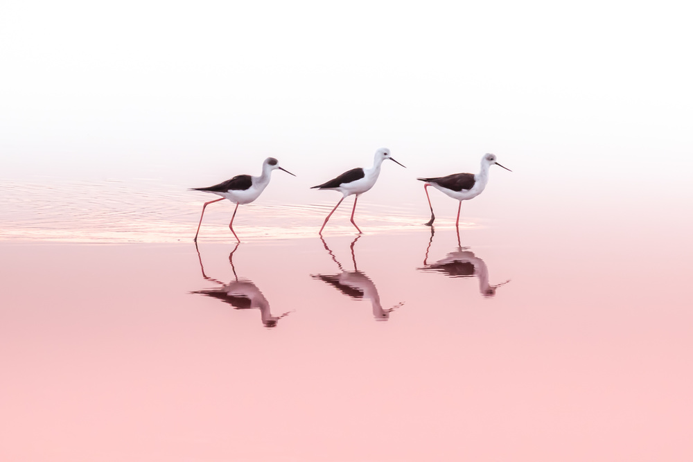 TRIO von Natalia Rublina