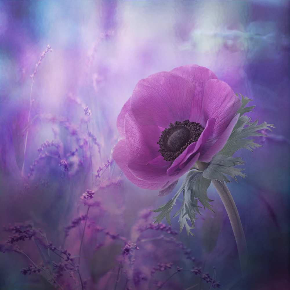 Ecstasy von Natalia Simongulashvili