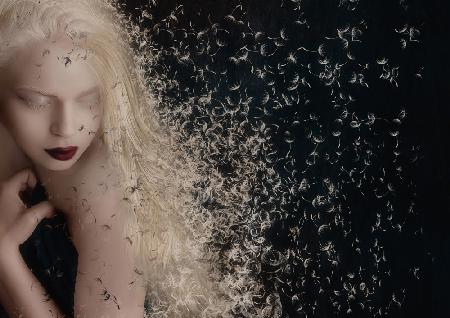 The soul is like a dandelion ..