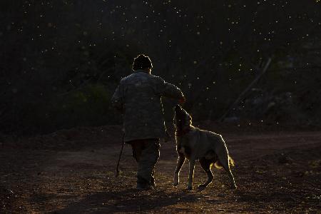 ... ::: Dost ::: ...