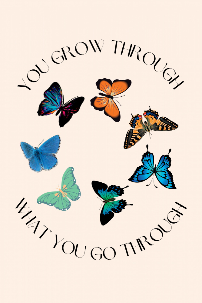 Butterfly Print von Nazma Khokhar