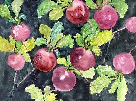Radishes