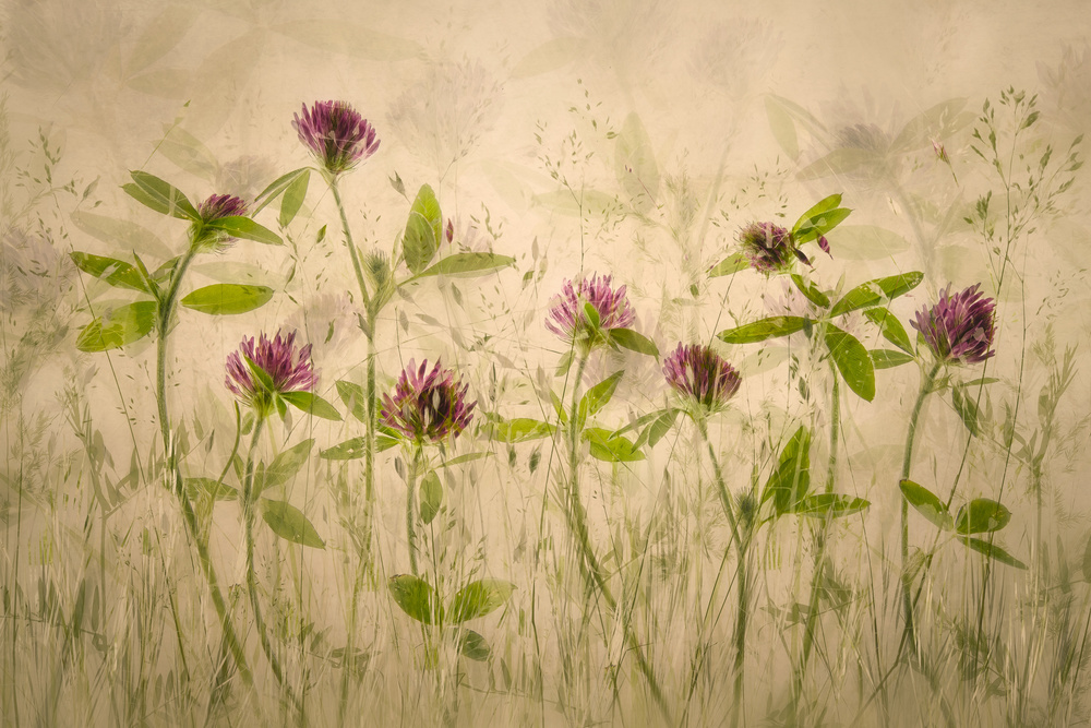 Old luky times von Nel Talen