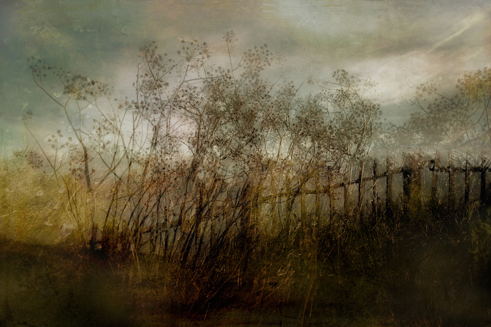 Old dream von Nel Talen