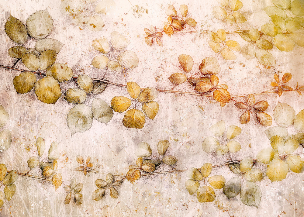 Coloring leaves von Nel Talen