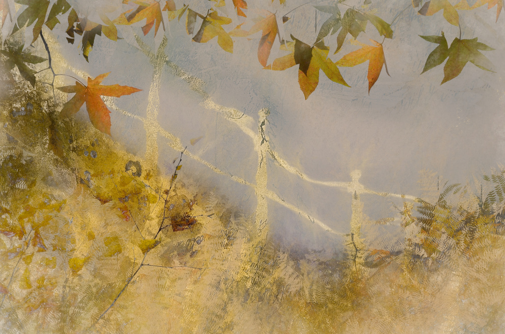 The bridge von Nel Talen