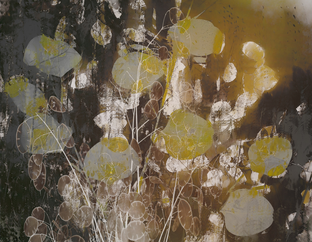 Honesty impression von Nel Talen