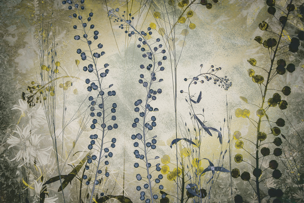 Fantasy von Nel Talen