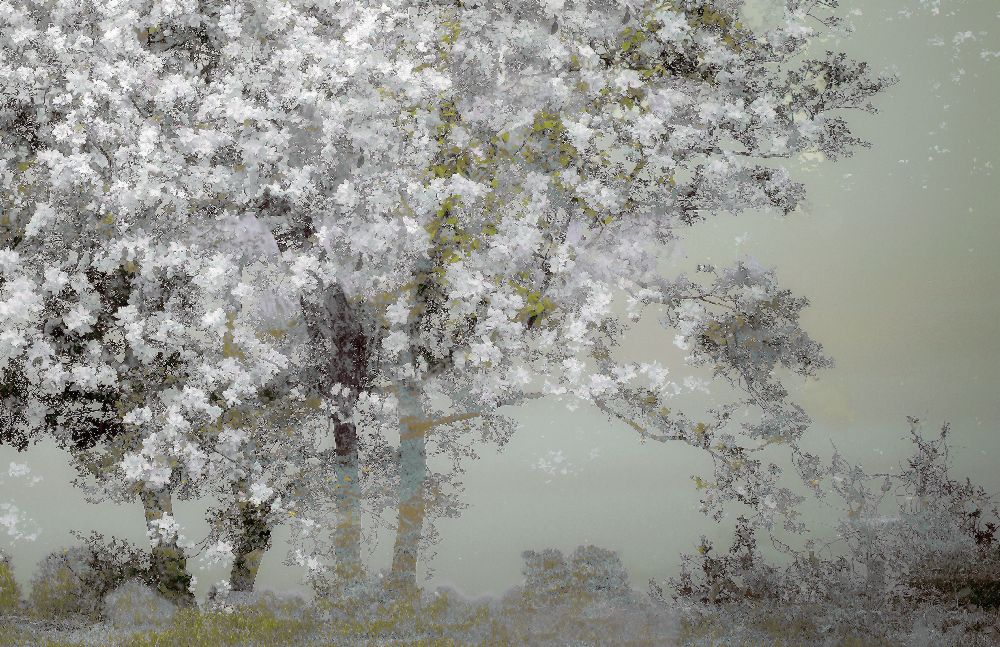 Frühling von Nel Talen