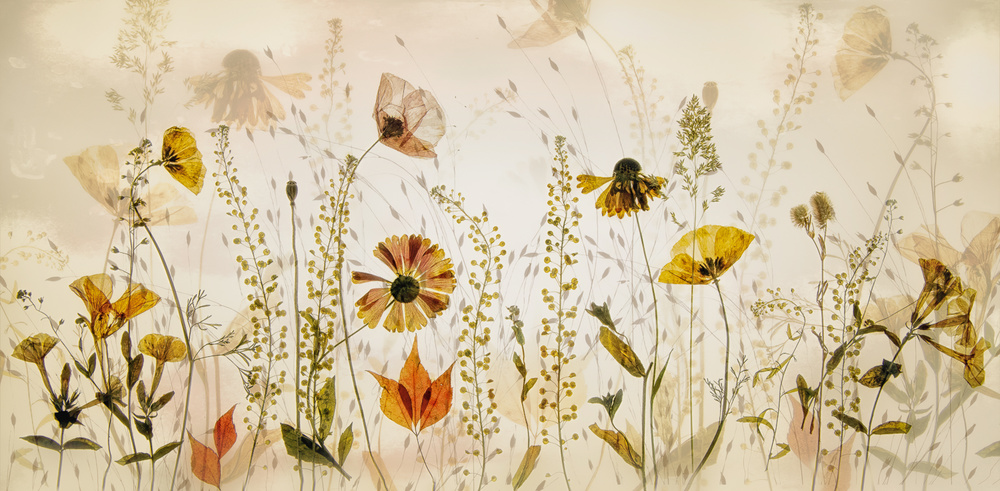 In the field... von Nel Talen