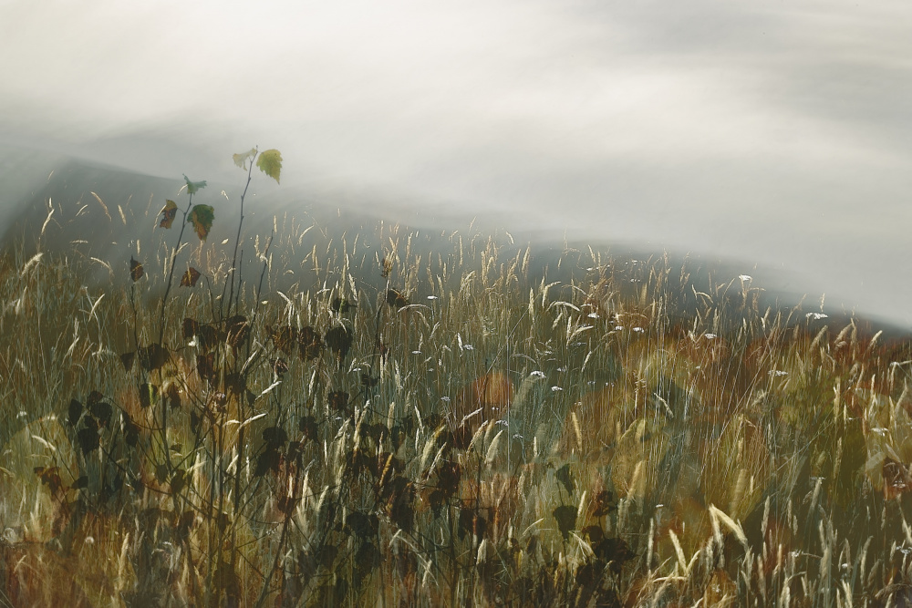 In the field von Nel Talen
