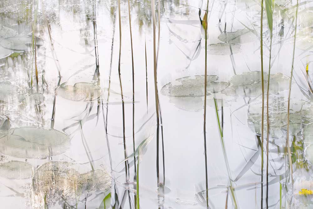 Lily geht von Nel Talen