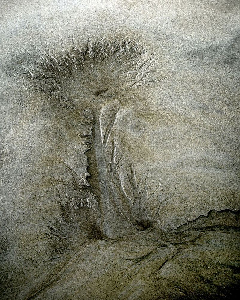 Flow pattern von Nel Talen