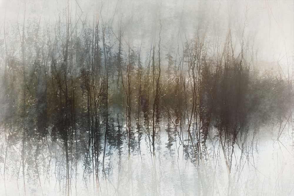 Day dreams von Nel Talen