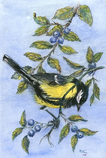 Tit in blackthorn and sloe von Nell  Hill