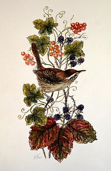Wren on a spray of berries  von Nell  Hill