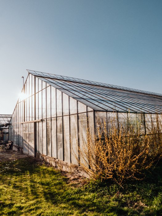 Gewächshaus Vierlanden Hamburg von Laura Nenz