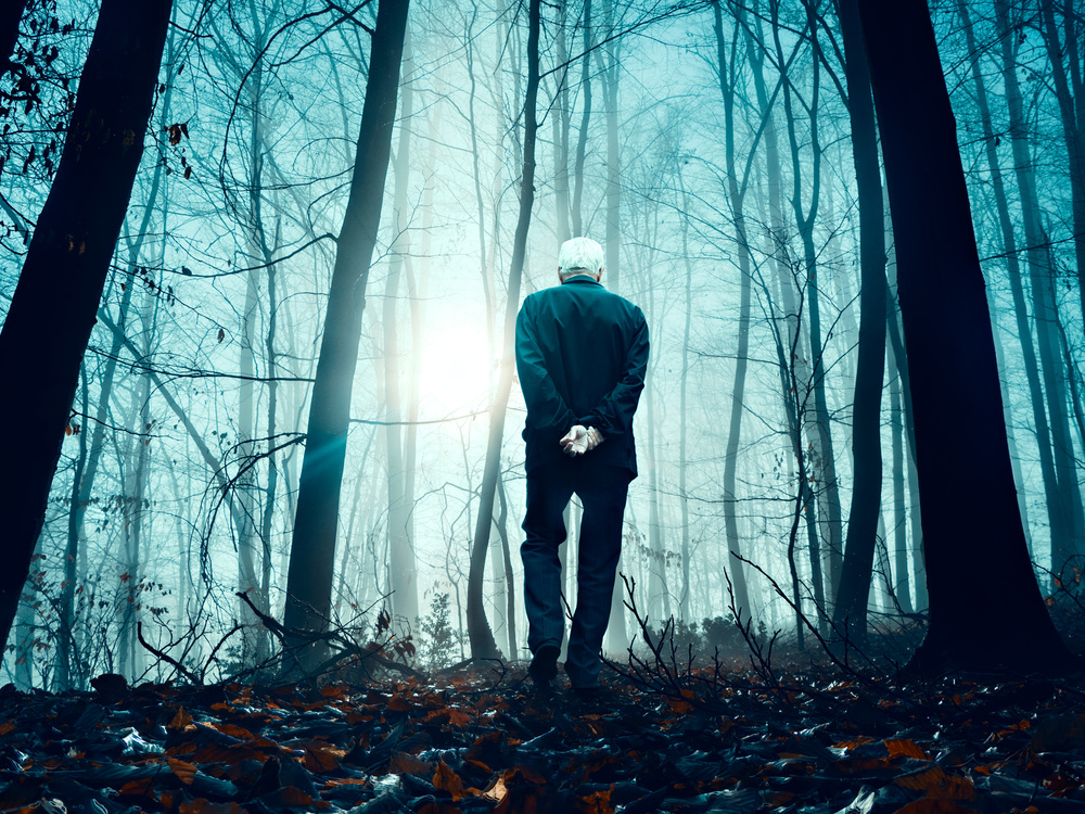 Go for Light von Nermin Smajic