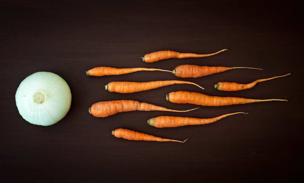 Vegetable reproduction von Nermin Smajic